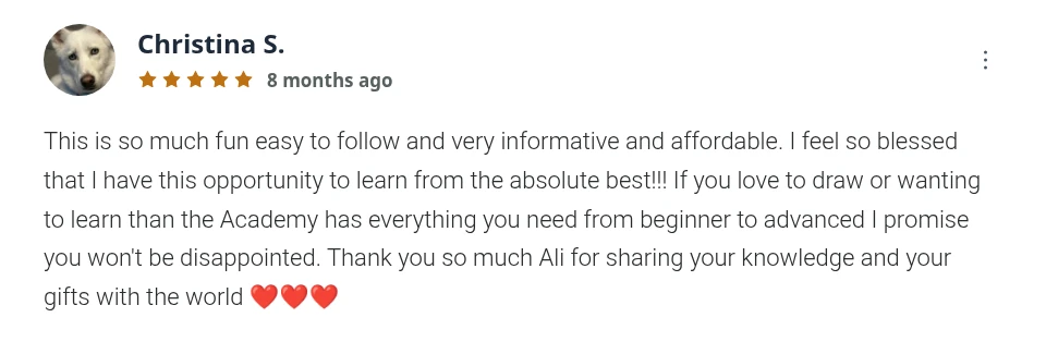 Student review — the Academy has everything from beginner to advanced