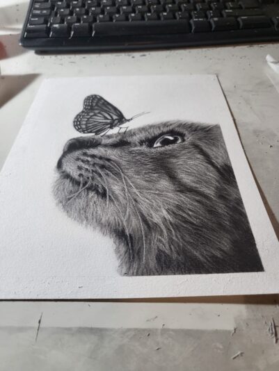 Cat 1