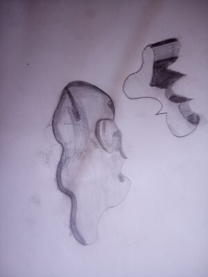 IMG_20260527_133238_968