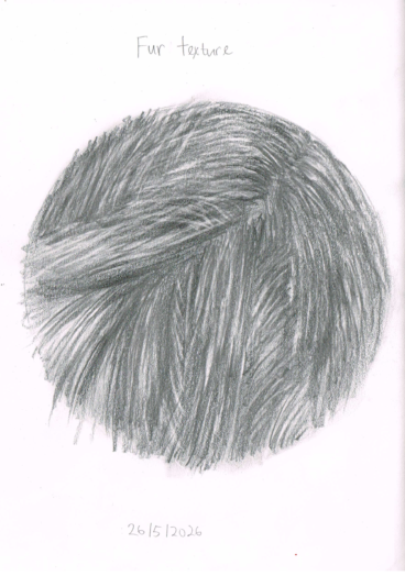 sketching-0018