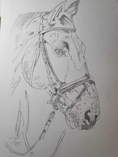 Horse Outline