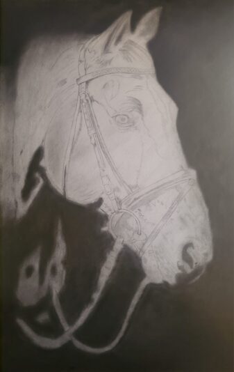 Horse Shading Part 1
