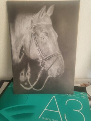 Horse Shading Part 2