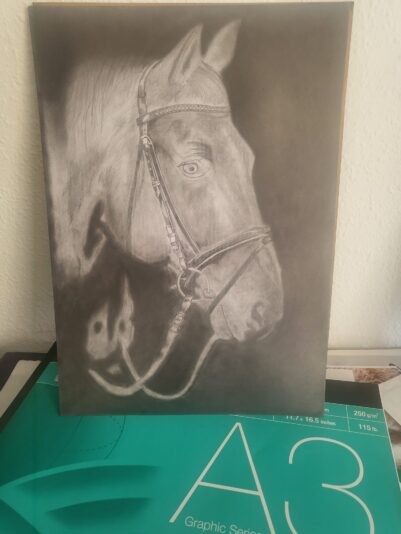 Horse Shading Part 2