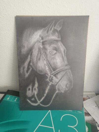 Horse Shading Part 3