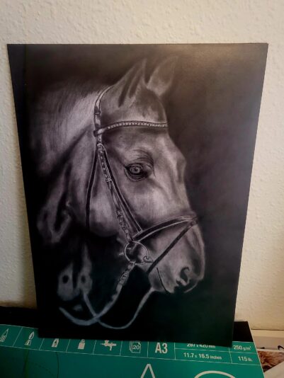 Horse Shading Part 5