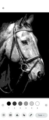 Value study