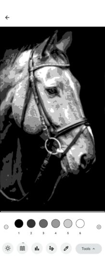 Value study