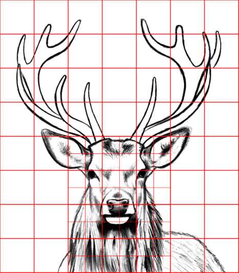 grid-outline-reference