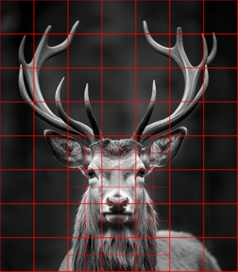 grid-reference-image (2)