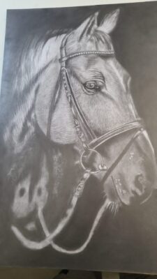 Horse 3 jun
