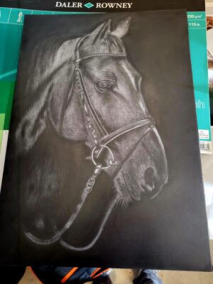 Horse 3 jun 2
