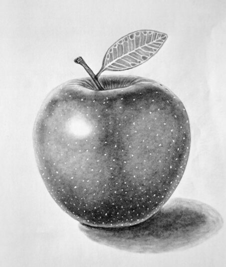 6.-Drawing-the-spores-lenticels-Final-drawing-868x1024 (1)