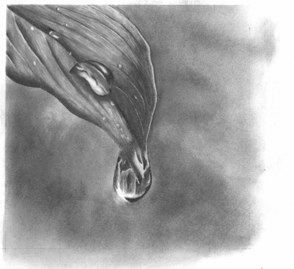 leaf-0001