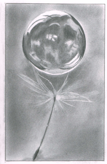 water-droplet