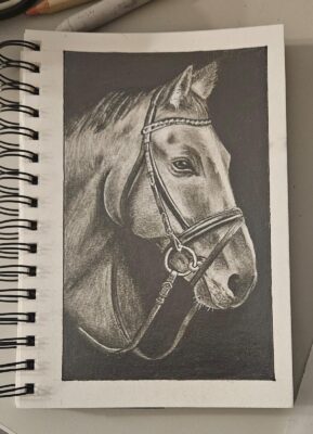 horse_drawing