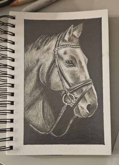 horse_drawing
