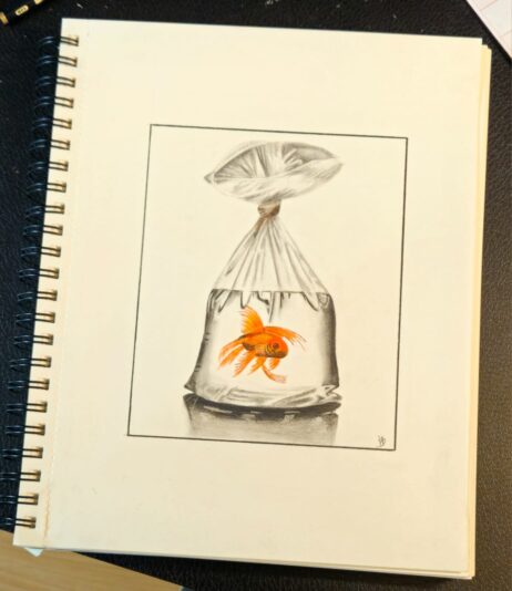 fish