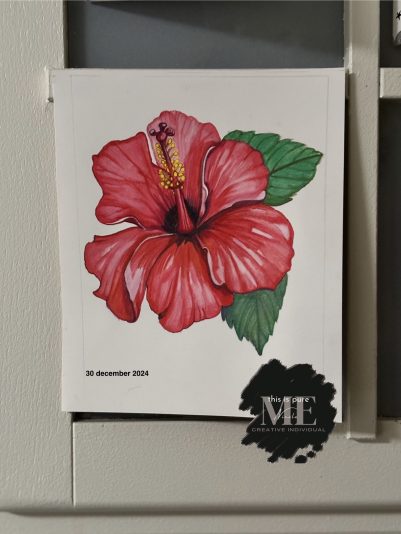 Tekenen - Hibiscus