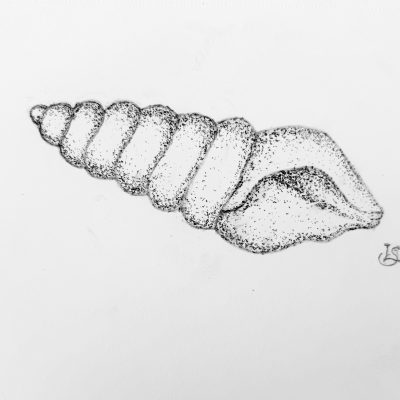 IMG_0123