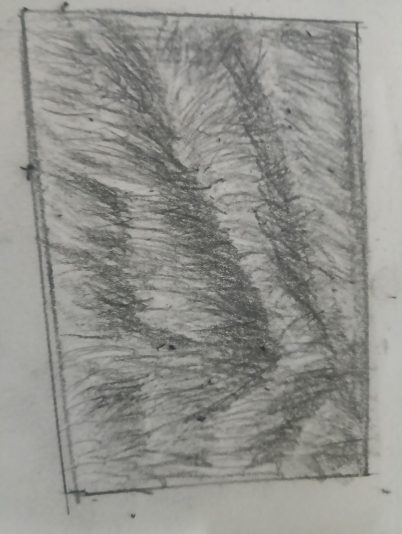 1002028542