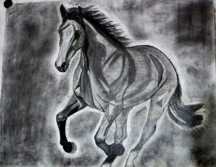 umair (8)