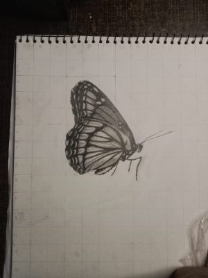 1000037288