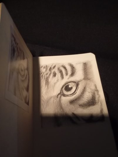 1000217176