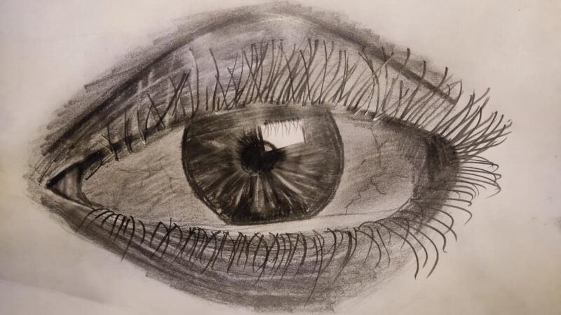 eye