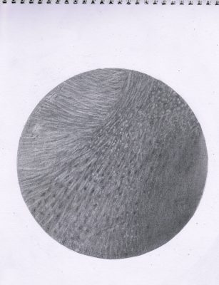 CCF04262026_00000
