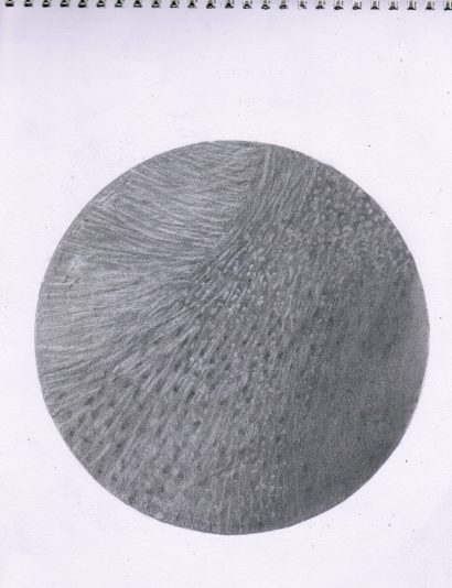 CCF04262026_00000