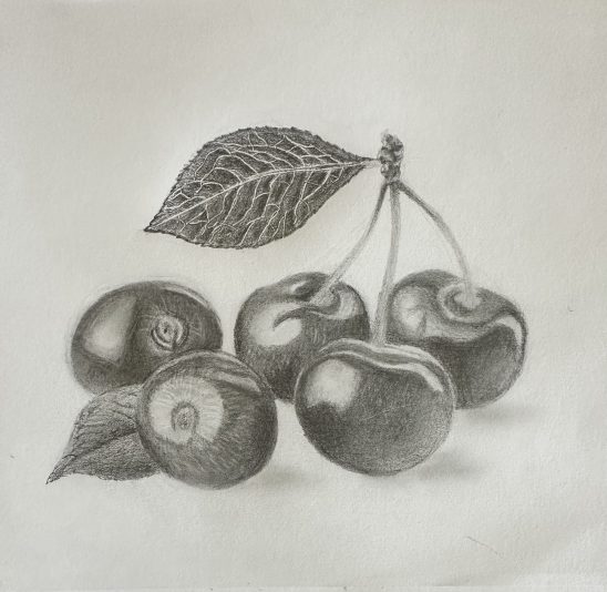 cherries drawing