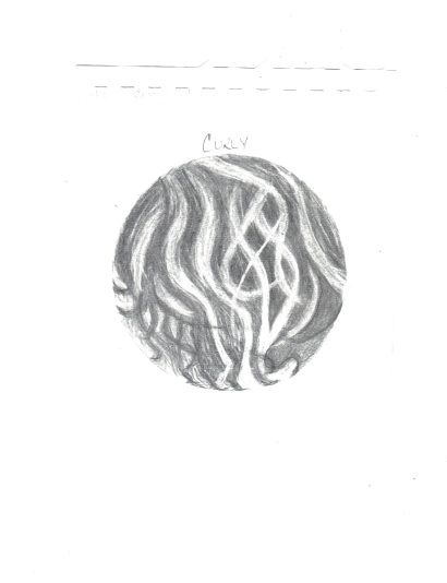 CCF05042026_00002