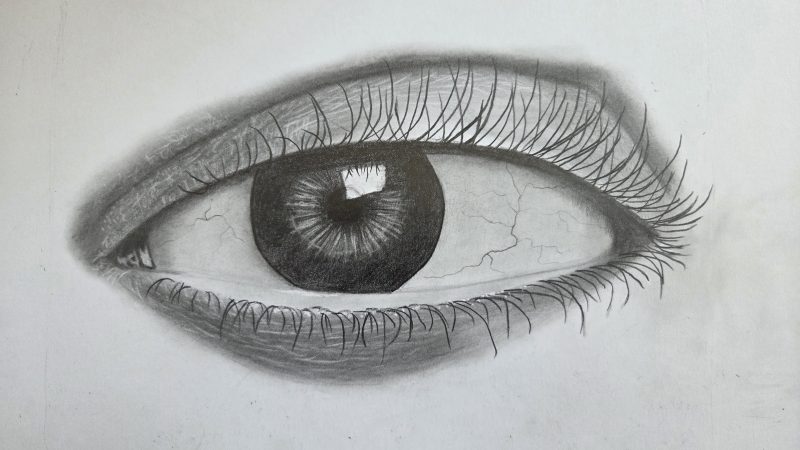 1000031585
