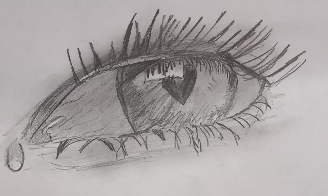 20260511_111215