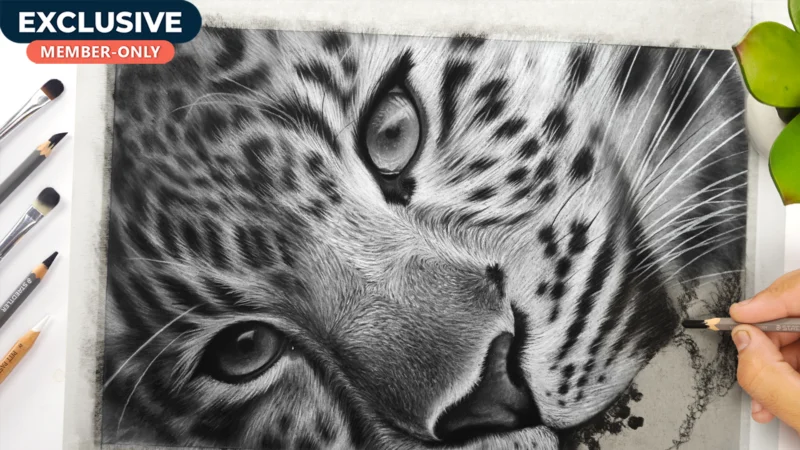 How to Draw Leopard using Charcoal pencils