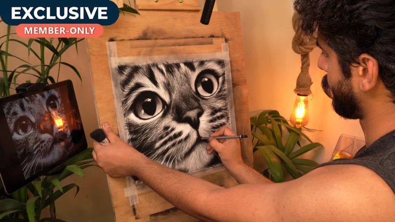 Realistic Cat Drawing using Charcoal!