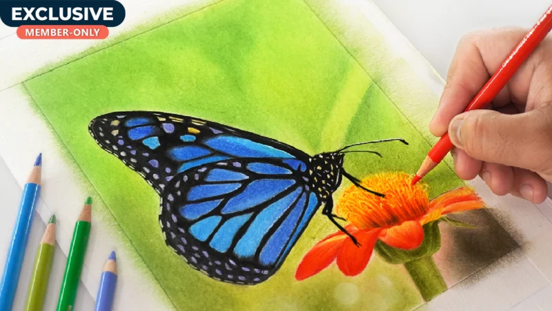 Drawing Colorful Butterfly for BEGINNERS – Step by Step!