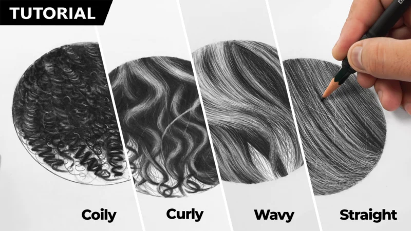 Drawing Four different types of Hair