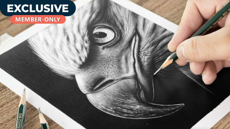 Realistic Eagle Drawing Tutorial! Full Breakdown & Pro Tips