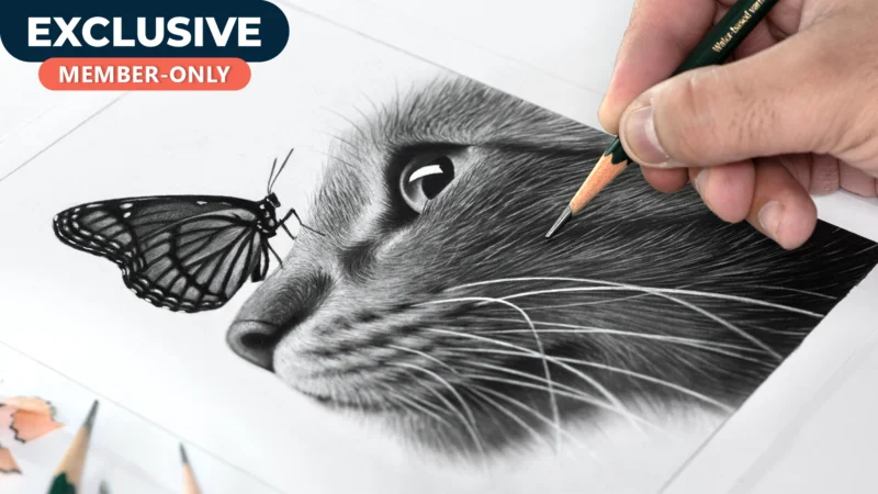 How to Draw Cat and Butterfly