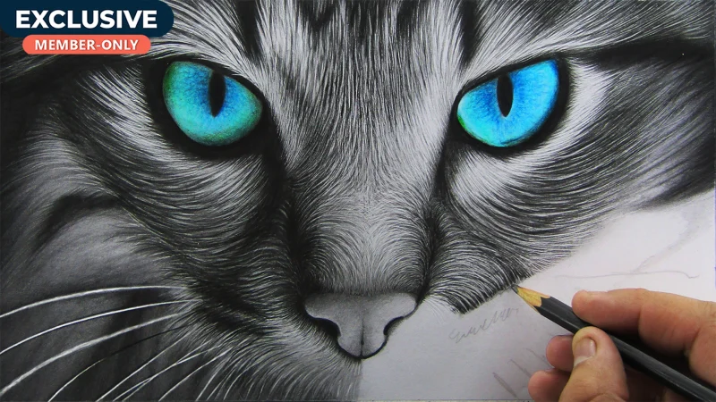 How to draw Hyper Realistic Cat