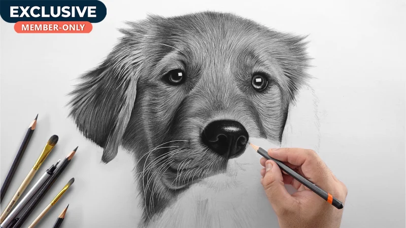 How to Draw Realistic Dog