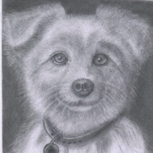 Profile photo of Ashok