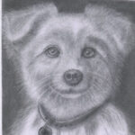 Profile photo of Ashok