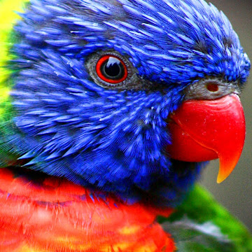 Profile photo of S.