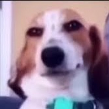 Profile photo of Gaming with