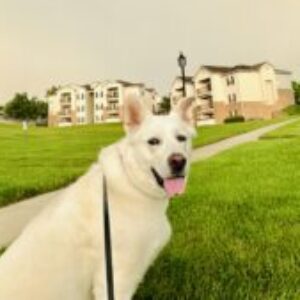 Profile photo of Suchitra