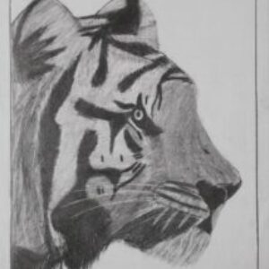 Profile photo of Kavin