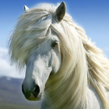 Profile photo of Valli